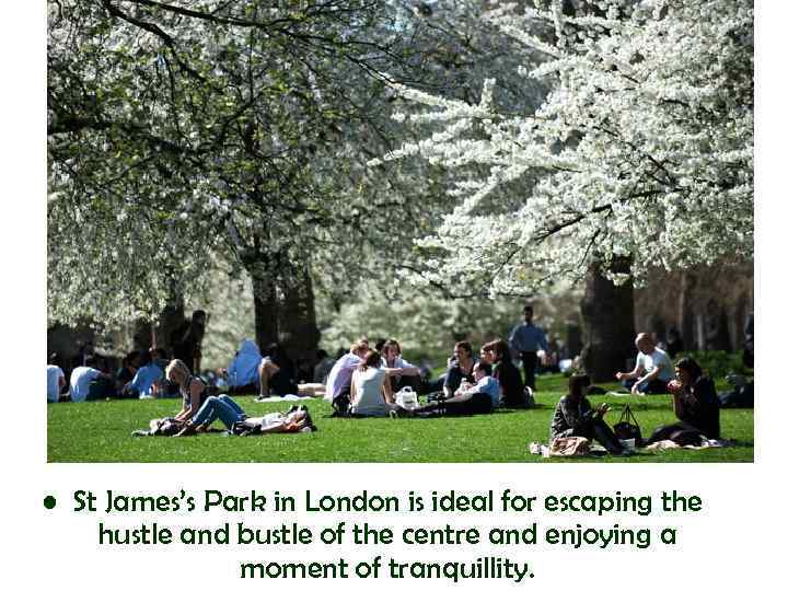  • St James’s Park in London is ideal for escaping the hustle and