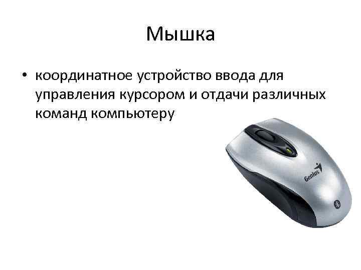 Мышка • координатное устройство ввода для управления курсором и отдачи различных команд компьютеру 