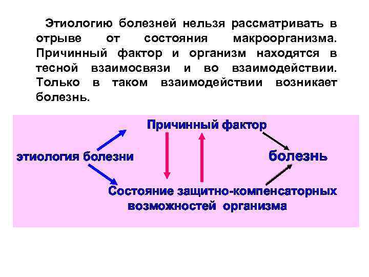 Этиологию болезней нельзя рассматривать в отрыве от состояния макроорганизма. Причинный фактор и организм находятся