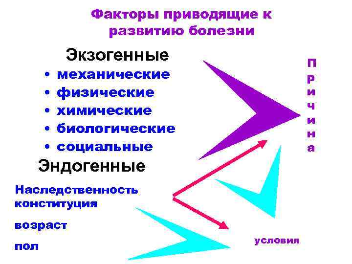 Факторы приводящие к развитию болезни • • • Экзогенные П р и ч и