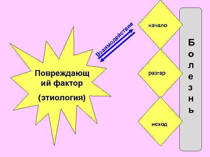 ие в о им ст ей д начало за В Повреждающ ий фактор разгар