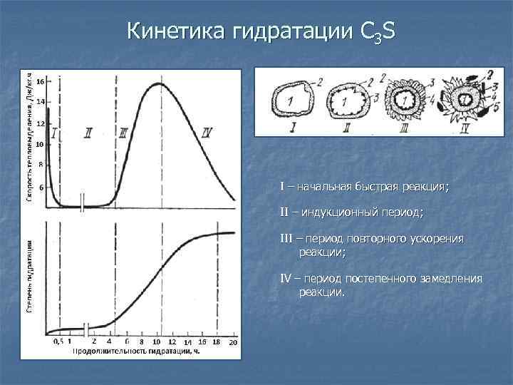 Кинетика гидратации C 3 S I – начальная быстрая реакция; II – индукционный период;