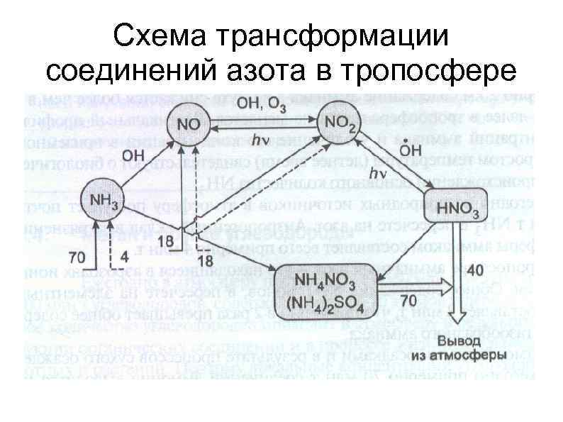 Схема трансформации соединений азота в тропосфере 