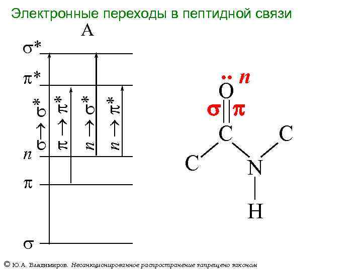 Электронные переходы в пептидной связи s* А . . n s s* p p*