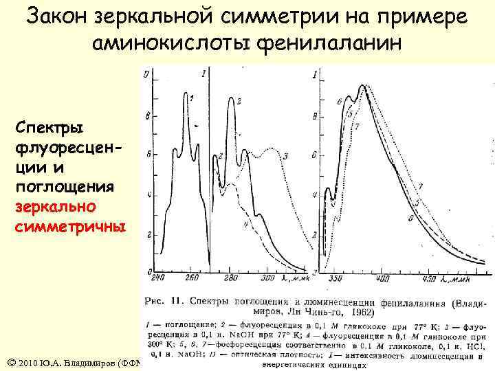 Закон зеркальной симметрии на примере аминокислоты фенилаланин Спектры флуоресценции и поглощения зеркально симметричны ©