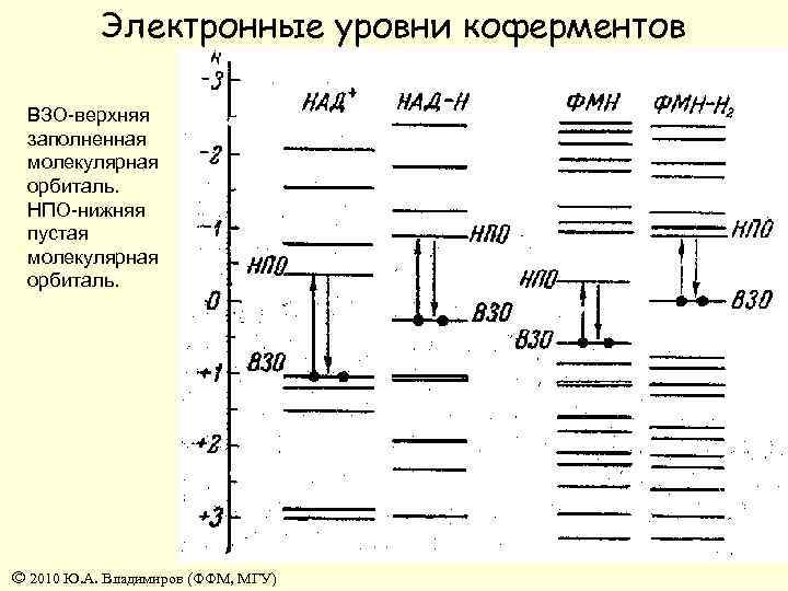 Электронные уровни коферментов ВЗО-верхняя заполненная молекулярная орбиталь. НПО-нижняя пустая молекулярная орбиталь. © 2010 Ю.