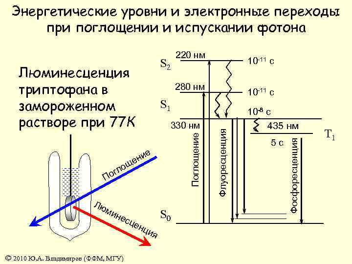 Схема яблонского люминесценция