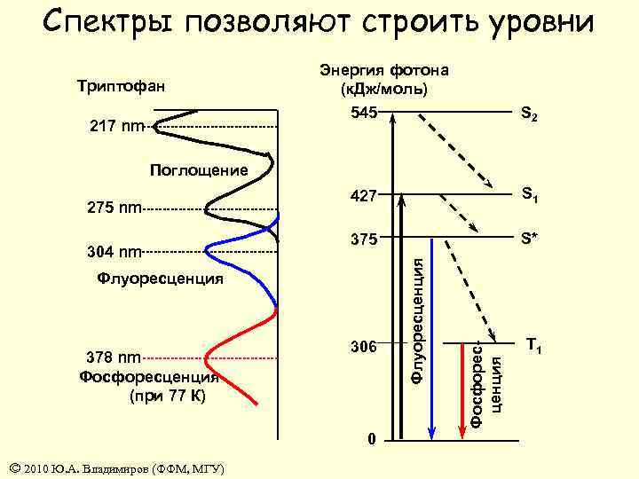 Спектры позволяют строить уровни Триптофан 217 nm Энергия фотона (к. Дж/моль) 545 S 2