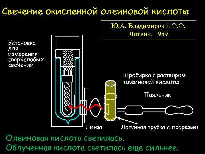 Свечение окисленной олеиновой кислоты Ю. А. Владимиров и Ф. Ф. Литвин, 1959 Установка для