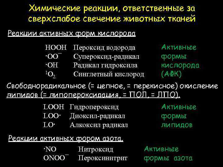 Химические реакции, ответственные за сверхслабое свечение животных тканей Реакции активных форм кислорода HOOH ·OO¯