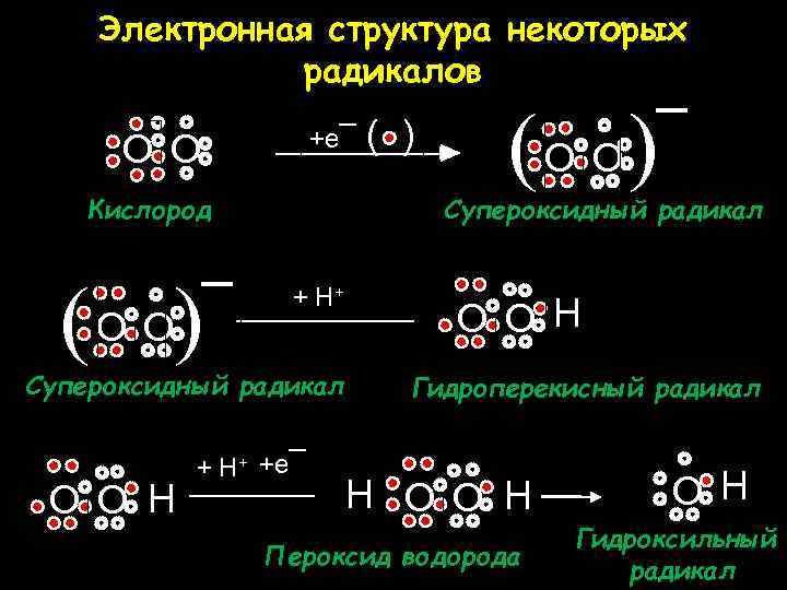Электронная структура некоторых радикалов +e¯ O O Кислород ( ) O O ¯ (