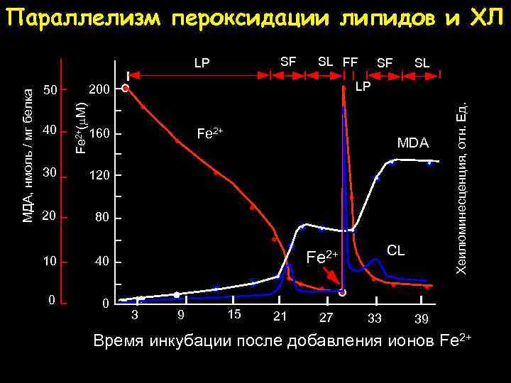 Параллелизм пероксидации липидов и ХЛ SF Fe 2+ MDA 120 20 SL LP 160
