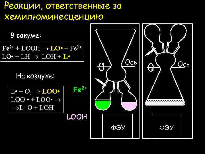 Реакции, ответственные за хемилюминесценцию В вакуме: Fe 2+ + LOOH LO • + Fe