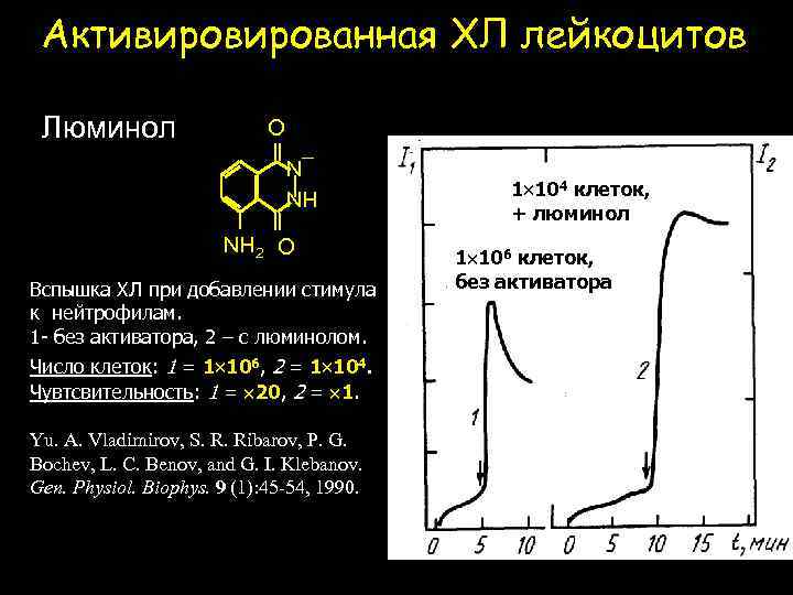 Активированная ХЛ лейкоцитов Люминол O N¯ NH NH 2 O Вспышка ХЛ при добавлении