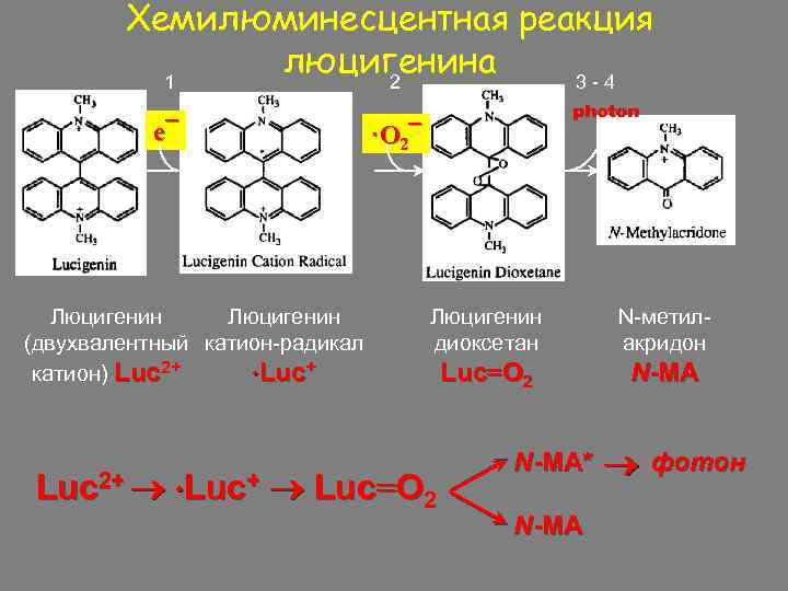 Определите двухзарядные катионы каких из указанных. Хемилюминесцентная реакция. Катион радикал. Диоксетан. Методы хемилюминесценции.