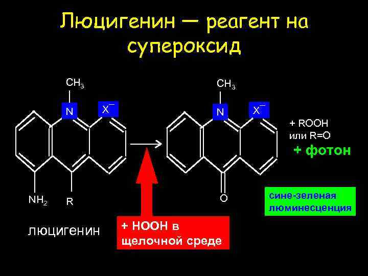 Люцигенин — реагент на супероксид CH 3 N CH 3 X¯ N X¯ +