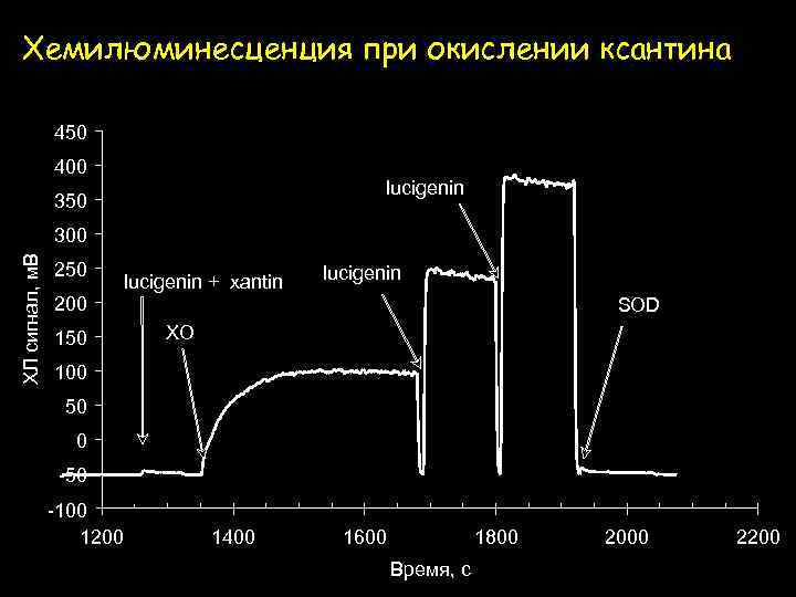 Хемилюминесценция при окислении ксантина 450 400 lucigenin 350 ХЛ сигнал, м. В 300 250
