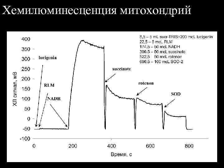 Хемилюминесценция митохондрий 