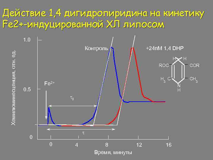 Действие 1, 4 дигидропиридина на кинетику Fe 2+-индуцированной ХЛ липосом Хемилюминесценция, отн. ед. 1.