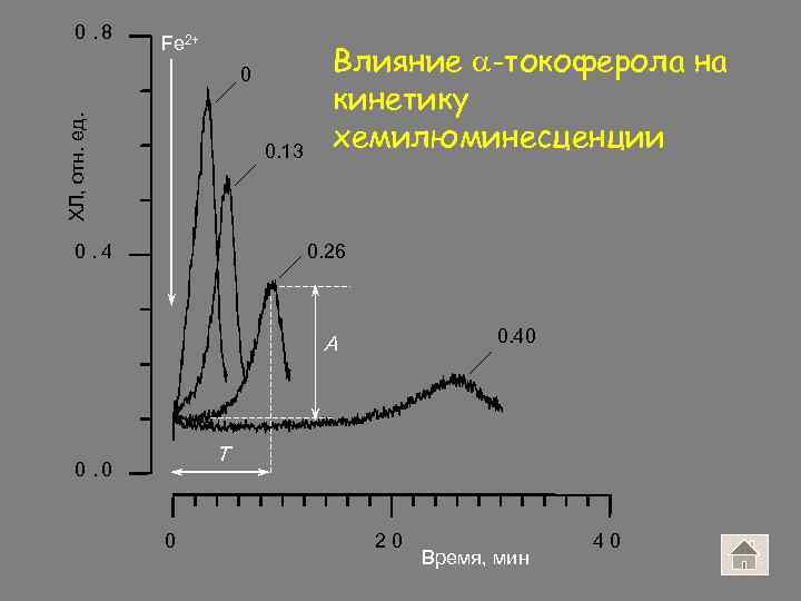 0. 8 Fe 2+ ХЛ, отн. ед. 0 0. 13 0. 4 Влияние -токоферола