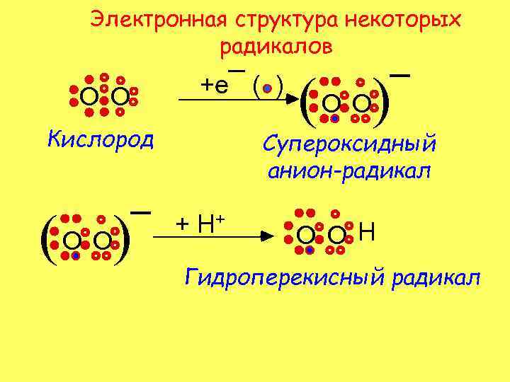 Электронная структура некоторых радикалов O O +e¯ ( ) Кислород ( ) ¯ O