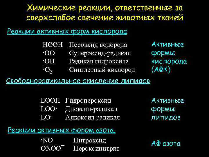 Химические реакции, ответственные за сверхслабое свечение животных тканей Реакции активных форм кислорода HOOH ·OO¯