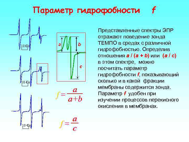 Параметр гидрофобности 10 Gs a b c 10 Gs a f= a+b 10 Gs