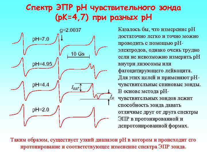 Cпектр ЭПР р. Н чувствительного зонда (p. K=4, 7) при разных р. Н g=2.