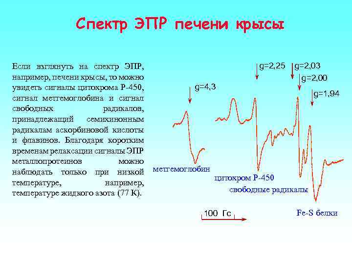 Спектр ЭПР печени крысы Если взглянуть на спектр ЭПР, например, печени крысы, то можно