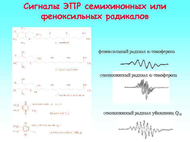 Сигналы ЭПР семихинонных или феноксильных радикалов феноксильный радикал a-токоферола семихинонный радикал убихинона Q 10