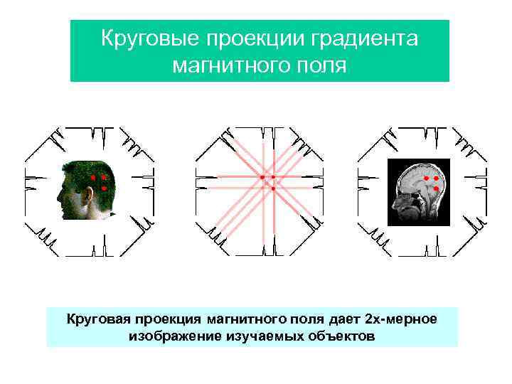 Круговые проекции градиента магнитного поля Круговая проекция магнитного поля дает 2 х-мерное изображение изучаемых
