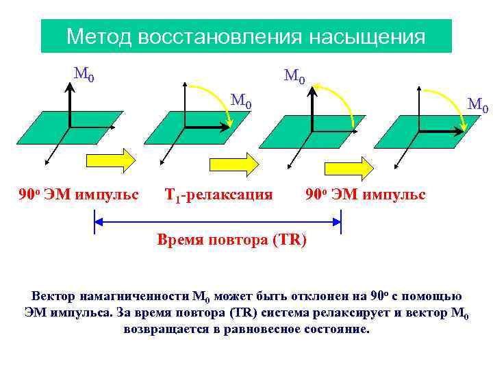 Метод восстановления насыщения M 0 M 0 y x 90 o ЭМ импульс T