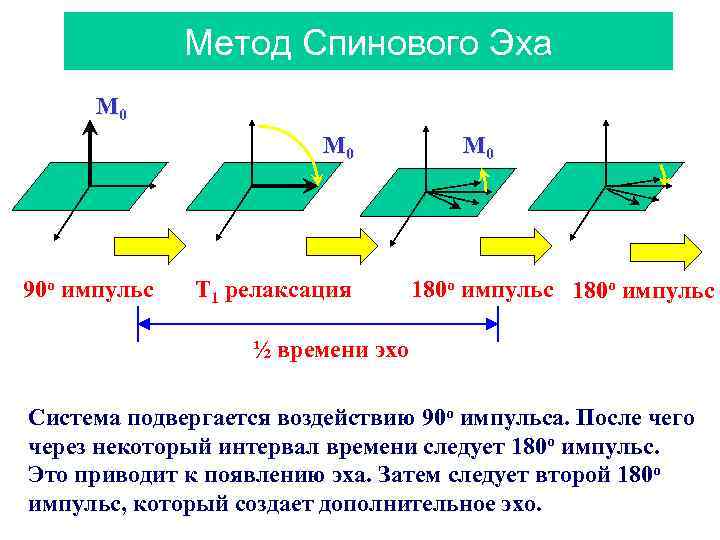 Метод Спинового Эха M 0 M 0 y x 90 o импульс T 1