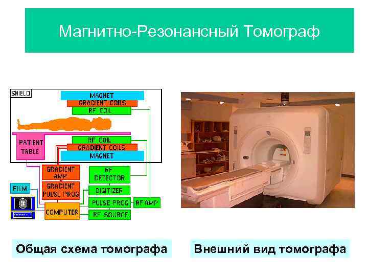 Магнитно-Резонансный Томограф Общая схема томографа Внешний вид томографа 