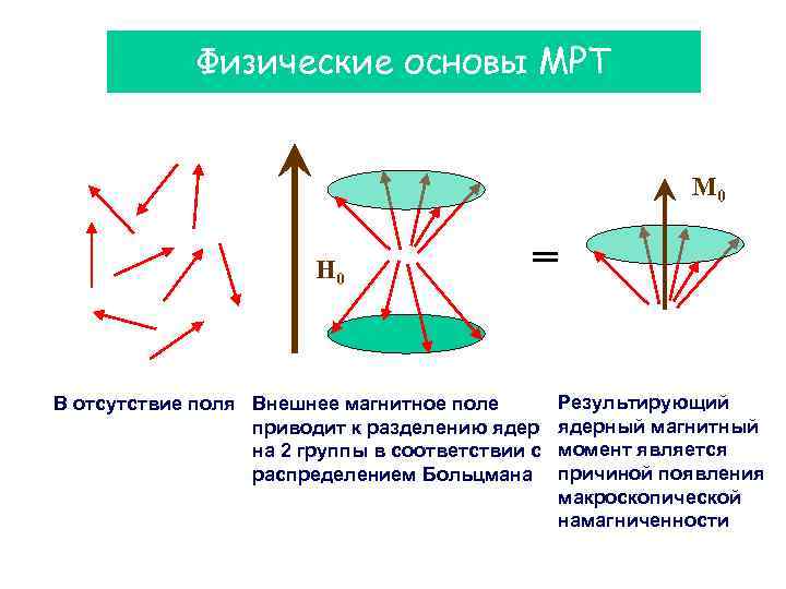 Физические основы МРТ M 0 H 0 = В отсутствие поля Внешнее магнитное поле