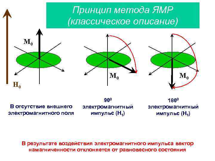 Принцип метода ЯМР (классическое описание) M 0 H 0 В отсутствие внешнего электромагнитного поля