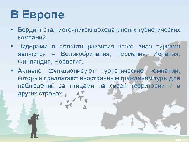 В Европе • Бердинг стал источником дохода многих туристических компаний • Лидерами в области