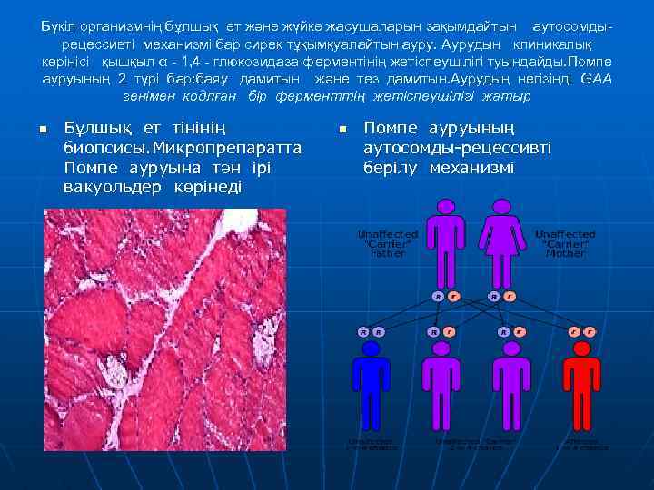 Бүкіл организмнің бұлшық ет және жүйке жасушаларын зақымдайтын аутосомды- рецессивті механизмі бар сирек тұқымқуалайтын