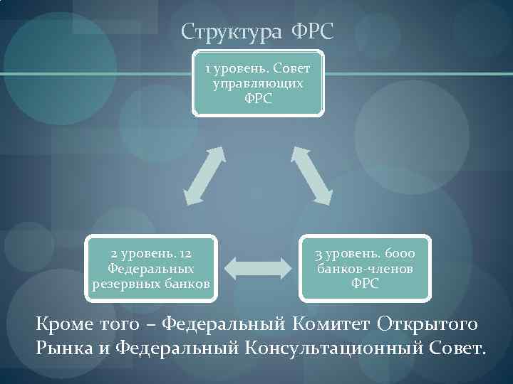 Структура фрс сша схема