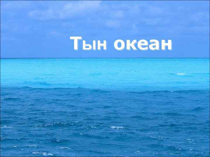 Тын океан 