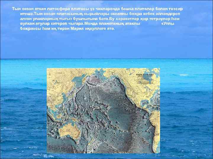 Тын океан яткан литосфера плитасы үз чикләрендә башка плиталар белән тәэсир итешә. Тын океан