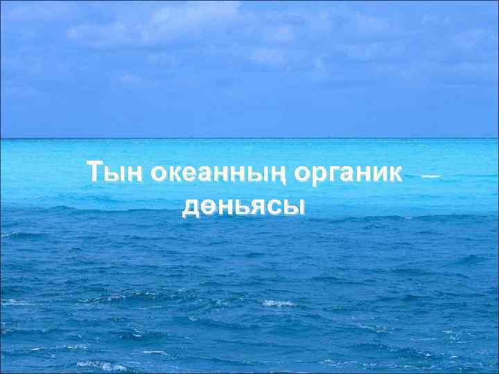 Тын океанның органик дөньясы 