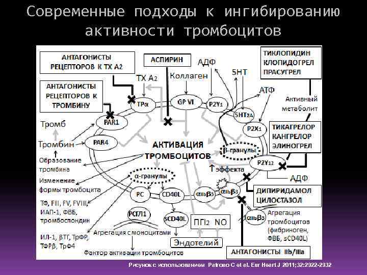 Современные подходы к ингибированию активности тромбоцитов Рисунок с использованием Patrono C et al. Eur