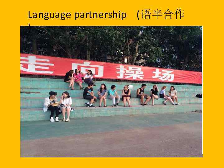 Language partnership (语半合作 ) 