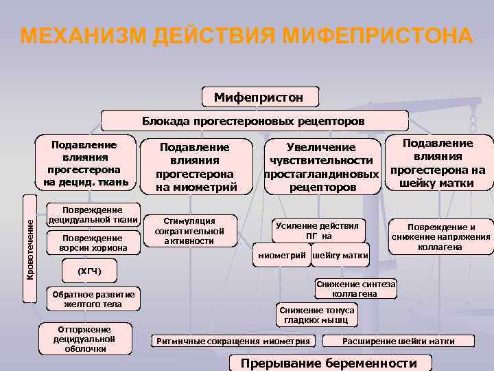 МЕХАНИЗМ ДЕЙСТВИЯ МИФЕПРИСТОНА Мифепристон Блокада прогестероновых рецепторов Кровотечение Подавление влияния прогестерона на децид. ткань
