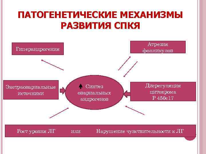 ПАТОГЕНЕТИЧЕСКИЕ МЕХАНИЗМЫ РАЗВИТИЯ СПКЯ Атрезия фолликулов Гиперандрогения Экстраовариальные источники Рост уровня ЛГ Синтез овариальных