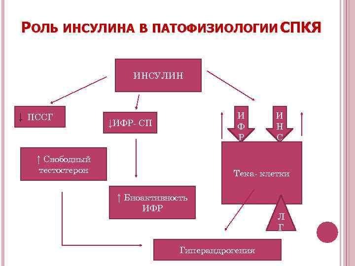 РОЛЬ ИНСУЛИНА В ПАТОФИЗИОЛОГИИ СПКЯ ИНСУЛИН ↓ ПССГ И Ф Р ↓ИФР- СП ↑
