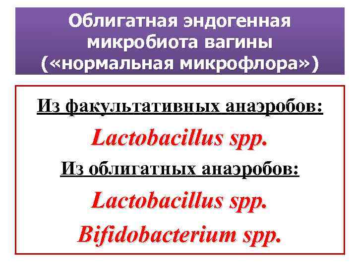 Облигатная эндогенная микробиота вагины ( «нормальная микрофлора» ) Из факультативных анаэробов: Lactobacillus spp. Из