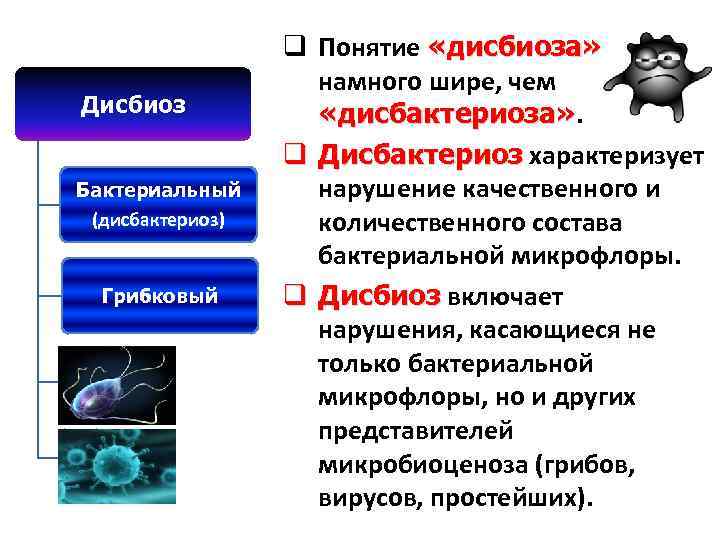 Дисбиоз Бактериальный (дисбактериоз) Грибковый q Понятие «дисбиоза» намного шире, чем «дисбактериоза» q Дисбактериоз характеризует