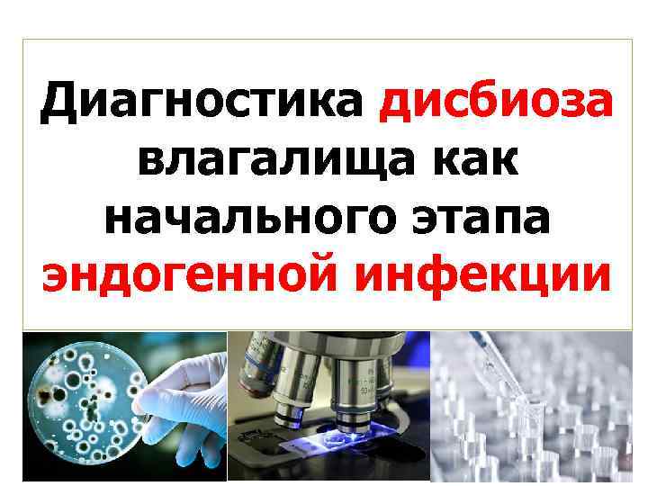 Диагностика дисбиоза влагалища как начального этапа эндогенной инфекции 